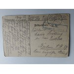 TYPY POHĽADNÍC RUSKIE, RUSKÁ CHATA, OBEC, POĽNOHOSPODÁRSTVO, 1917, ZNÁMKA