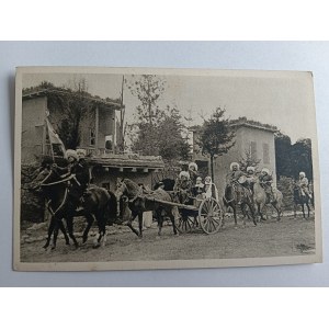 CARTE POSTALE CIRQUE, ARTISTES DE CIRQUE, CARL HAGENBECK, STELLINGEN HAMBURG
