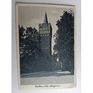 CARTE POSTALE CHÂTEAU DE PATSCHKAU