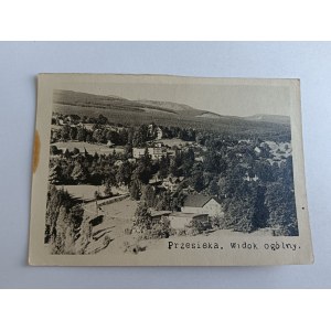 ZDJĘCIE PRZESIEKA WIDOK OGÓLNY