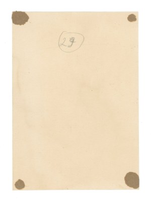 Portrait of Lt. Ludwik Pleszczynski cavalier of the VM, 3 DAK ca. 1920 (409)