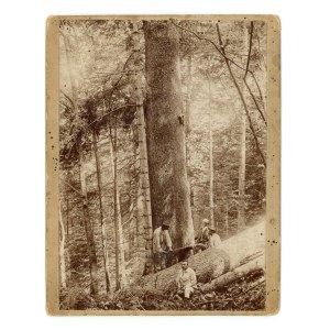 Nawojowa, woj. małopolskie - Hrabia Edward Adam Stadnicki (458)