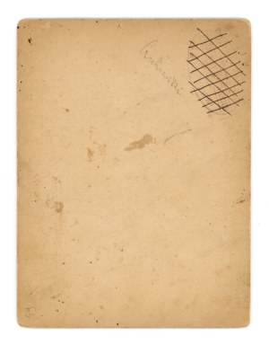 Nawojowa, Małopolska voivodeship - Count Edward Adam Stadnicki (459).
