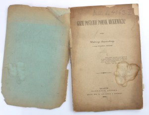 Rzewuski W. (photographer) - Where to put a monument to Mickiewicz? Self-printed, 1883 (520)