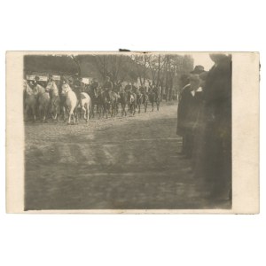 Ryczywół - Powstanie Wielkopolskie (705)