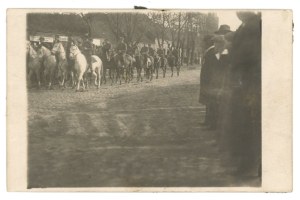 Ryczywół - Greater Poland Uprising (705)