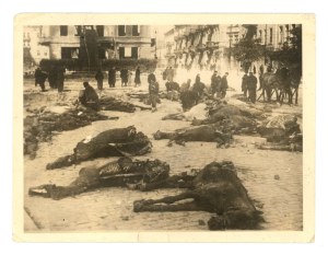 Warsaw - Krasinski Square, September 1939. Horses (1008)