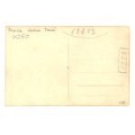 Warszawa, wrzesień 1939 r. - Trup konia (1011)
