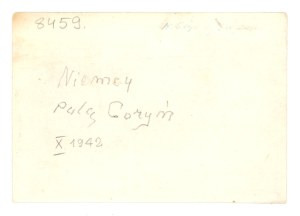 The village of Gorin in the municipality of Płużnica - Germany, October 1942 (1012)