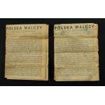 Prasa konspiracyjna - Polska Walczy, 10 numerów 1942r (997)
