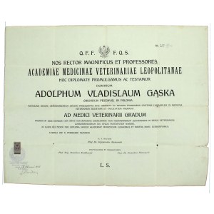 Dyplom magistra weterynarii Uniwersytetu Lwowskiego, 1923 r. (886)