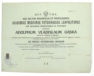 Master's degree in veterinary medicine from Lviv University, 1923 (886)