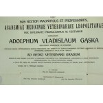 Dyplom magistra weterynarii Uniwersytetu Lwowskiego, 1923 r. (886)