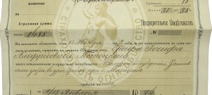 Hr. Józef Potocki - Fire insurance policy of the Warsaw Insurance Society 1894-1895 (854)