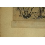 Ewa MIANOWSKA (1929 - ), Tancerz, 1959 (620)