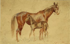 Franciszek ZAJCHOWSKI (1860-1923), Horses, 1907 (518)