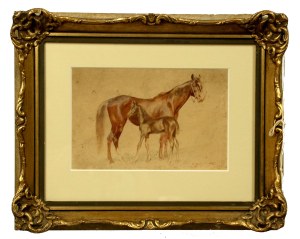 Franciszek ZAJCHOWSKI (1860-1923), Horses, 1907 (518)