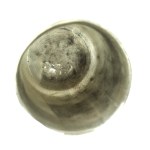 Kubek kiduszowy, Moskwa, 1862 r. (108)