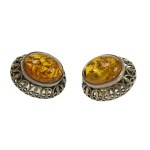 Clips with amber, Warmet (136)