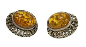 Clips with amber, Warmet (136)