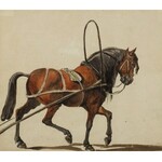 Maksymilian Oborski – przyp. (1809–1878), Koń w zaprzęgu