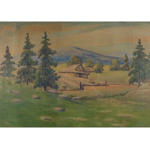 Ludwik Remer (1884–1942), Szałasy na hali