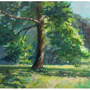 Jarosław Tarnowski, Sunny Park, 2024