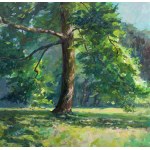 Jarosław Tarnowski, Słoneczny park, 2024