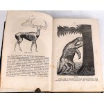 DZIEKOŃSKI- DZIWY ŚWIATA PIERWOTNEGO czyli KOLEBKA WSZECHŚWIATA wyd. 1872r. 268 drzeworytów