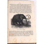 DZIEKOŃSKI- DZIWY ŚWIATA PIERWOTNEGO czyli KOLEBKA WSZECHŚWIATA wyd. 1872r. 268 drzeworytów