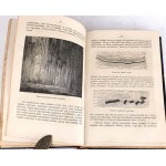 DZIEKOŃSKI- DZIWY ŚWIATA PIERWOTNEGO czyli KOLEBKA WSZECHŚWIATA wyd. 1872r. 268 drzeworytów