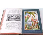 GUSTAWICZ, WYROBEK - LE LIVRE DES INVENTIONS D'AVENTURE ET DE VOYAGE publ.1912