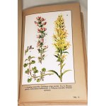 VERDMON - CURATION OF PLANTS publ. 1936 planches en couleurs