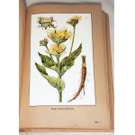 VERDMON - CURATION OF PLANTS publ. 1936 planches en couleurs