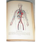 VERDMON - CURATION OF PLANTS publ. 1936 planches en couleurs