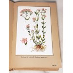 VERDMON - CURATION OF PLANTS publ. 1936 planches en couleurs