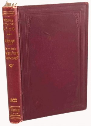 DALLEMAGNE - THE CRIME IN THE LIGHT OF CONTEMPORARY THEORIES published in 1902.