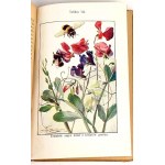 BUCKLEY - ŻYCIE W LESIE W POLU chromolitografie