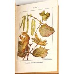 BUCKLEY - ŻYCIE W LESIE W POLU chromolitografie