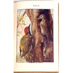 BUCKLEY - ŻYCIE W LESIE W POLU chromolitografie