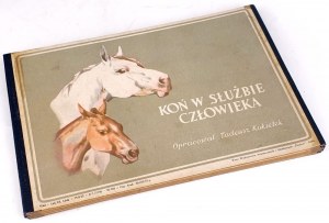 KOKETA - KŮŇ VE SLUŽBÁCH ČLOVĚKA 1952