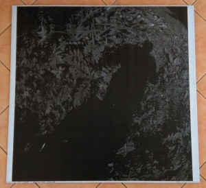 Andrzej Lachowicz: Wyjątkowy punkt widzenia 6 2005 cykl Cienie, fotografia 91x96 cm