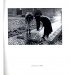 Teresa Murak. Słońce wschodzi z Ziemi. Orońsko 1995, katalog wystawy