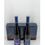 2010 FX Pichler Unendlich Riesling Smaragd 2x Geschenksset