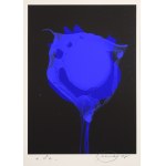 Otto PIENE (1928-2014), Teka 4 serigrafii, 1978