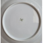 FISCHER &amp; MIEG, Česká republika. Sada 5 porcelánových hlubokých talířů, velkých, s polským erbem Leliwa pod hraběcí korunou.