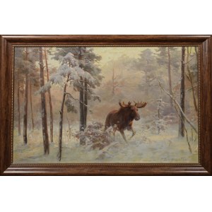 Franciszek ZYGMUNTOWICZ (1875-1947), Łoś w kniei