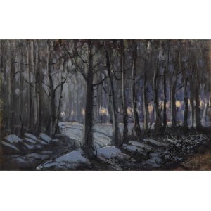 Ryszard KARCHUT (ur. 1962), Park nocą