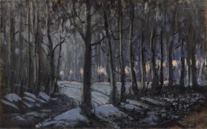 Ryszard KARCHUT (ur. 1962), Park nocą