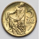 Sampled brass 5 gold 1959 Rybak